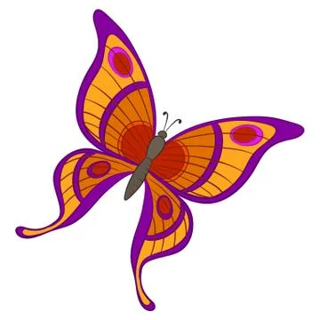 Butterfly Stock Illustration