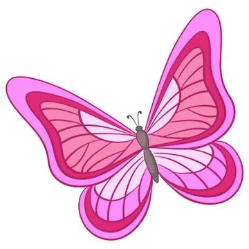 Butterfly Stock Illustration