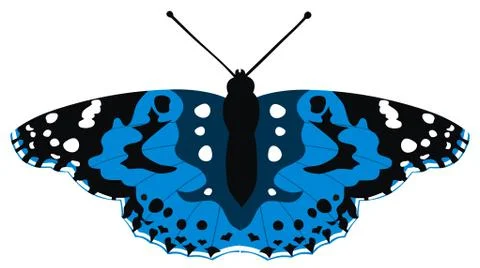 Butterfly Stock Illustration