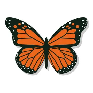 Butterfly Stock Illustration
