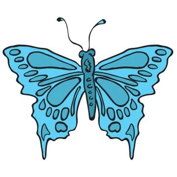 Butterfly Stock Illustration