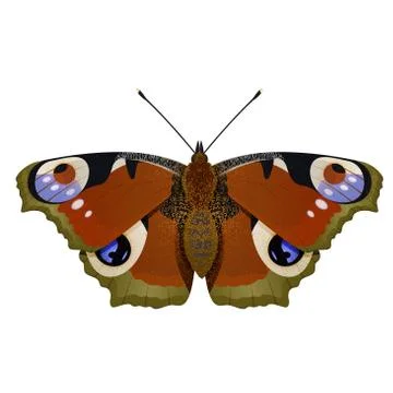 Butterfly Illustrazione stock