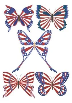 Butterfly Stock Illustration