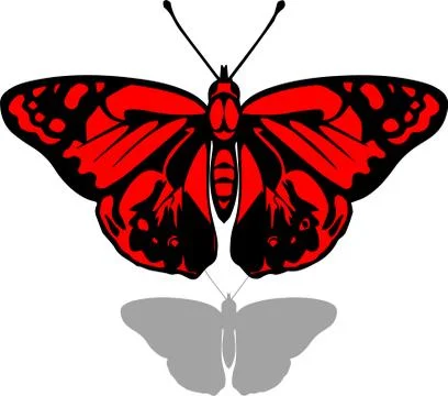 Butterfly Stock Illustration