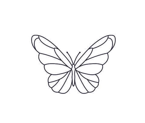 Butterfly Stock Illustration