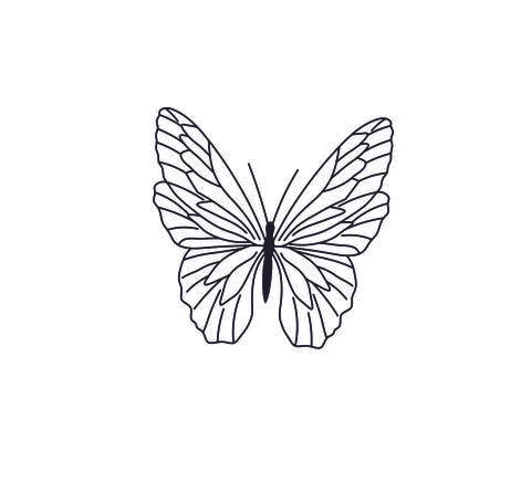 Butterfly Stock Illustration