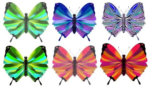 Butterfly Stock Illustration