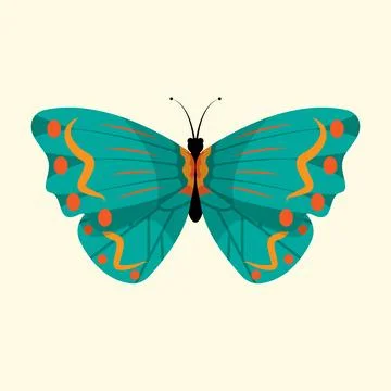 Butterfly Stock Illustration