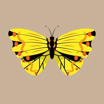 Butterfly Stock Illustration