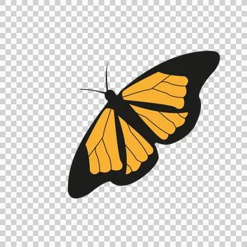 Butterfly Stock Illustration