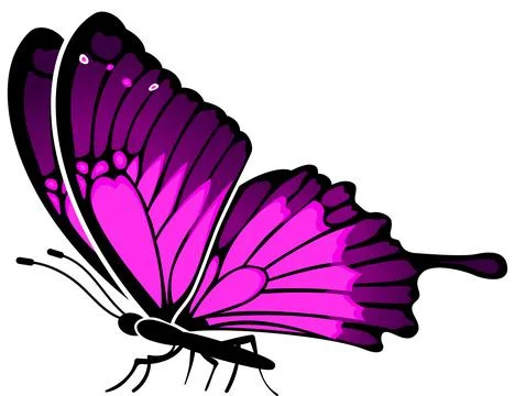 Butterfly Stock Illustration