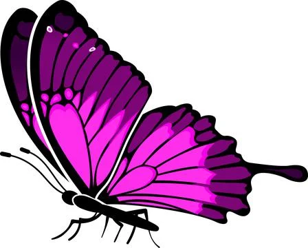 Butterfly 스톡 일러스트