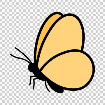 Butterfly Stock Illustration