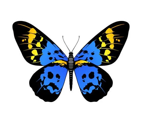 Butterfly illustration Illustrazione stock