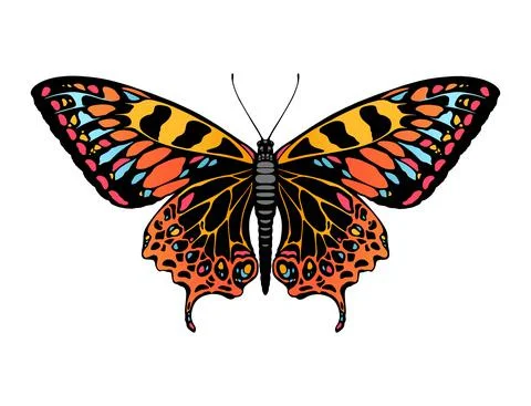 Butterfly illustration Stock Illustration