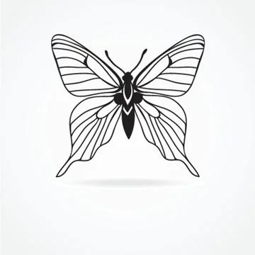 Butterfly isolated on white background Stock-Illustration
