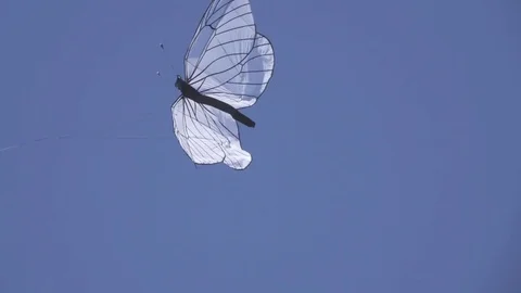Butterfly Kite in the Sky Stockbeeldmateriaal 76145412
