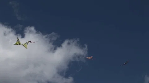 Butterfly kites Vídeo Stock 72571519