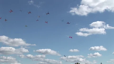 Butterfly kites Stock Footage 72571522