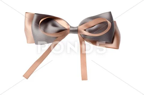 Butterfly knot bowknot Stock Photos