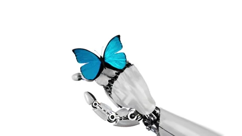Butterfly Lands on the Robot's Hand on a White Background Stock Footage