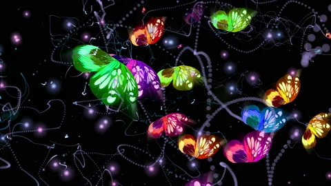 Butterfly Light 4K 05 Stock Footage 93035262