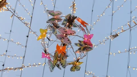 Butterfly lights Stock Footage 96248863