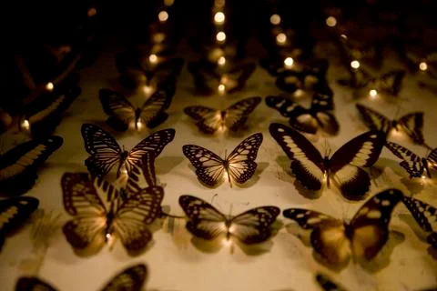 Butterfly with lights. Stock Photos