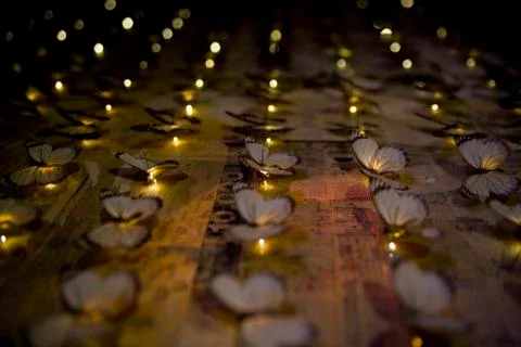 Butterfly with lights. Stock Photos