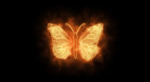 Butterfly logo fire effect green screen background Stock Footage 278314133