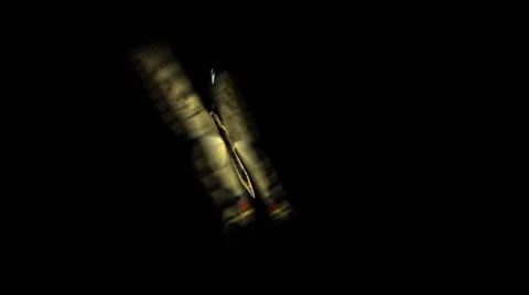 Butterfly Loop #17 Side View 库存影片 7762792