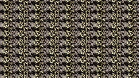 Butterfly Matrix 스톡 동영상 88547714