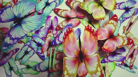 Butterfly. Up.Matte channel. Stock Footage 54692118