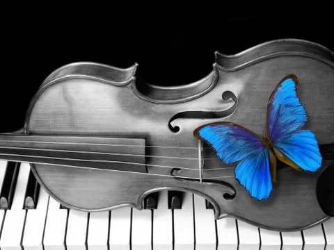Butterfly morpho, violin and piano. close up. Stock Photos