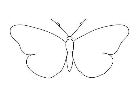 Butterfly one line drawing. Vector illustration. Stock Illustration