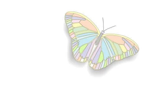Butterfly with open wings Stock Illustration