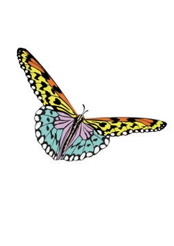 The Butterfly with open wings in a top view as a flying migratory insect butt Stock Illustration