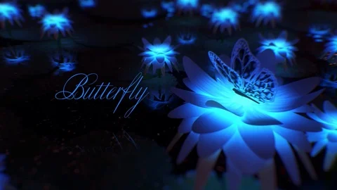 Butterfly Opener Stock After Effects