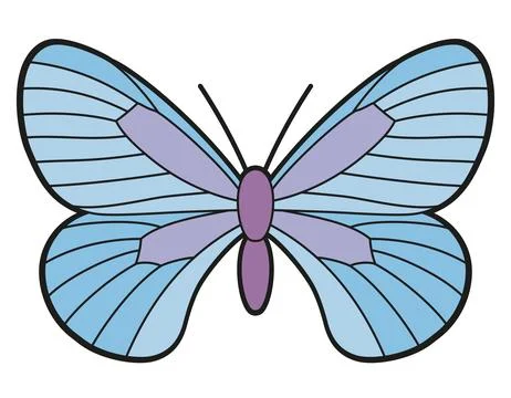Butterfly or Moth Stock Illustration