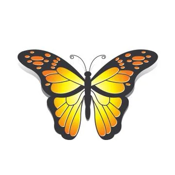 Butterfly in orange Stock Illustration