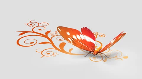 Butterfly on ornate background Video stock 24728463