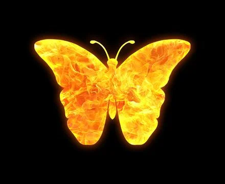 Butterfly outline with a bright fire pattern isolated on a black background Illustrazione stock