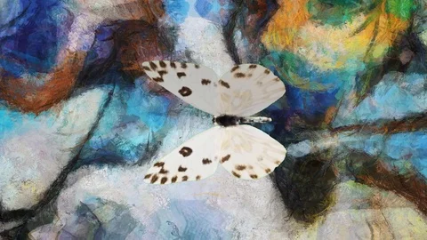 Butterfly on painted background Vídeos de archivo 125578759