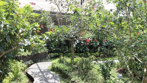 Butterfly park Video stock 100072058