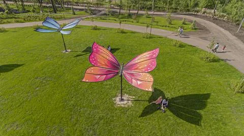 A butterfly in the park, unusual resting place Stock Photos