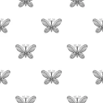 Butterfly pattern. Linear art. Black and white image of a butterfly. Coloring Illustrazione stock