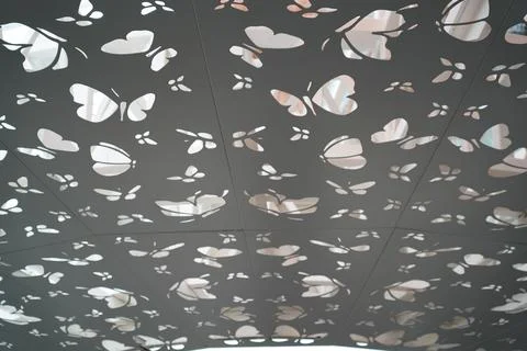 Butterfly Pattern Overhead Abstract Design Stock Photos