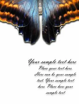 Butterfly pattern Stock Photos