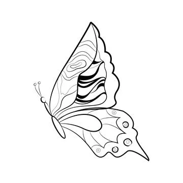 Butterfly with a pattern on the wings, exotic insects, print for tattoo. Vector Stock Illustration