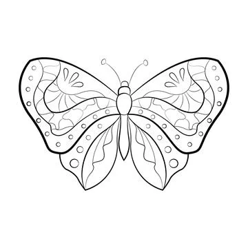 Butterfly with a pattern on the wings, exotic insects, print for tattoo. Vector Illustrazione stock